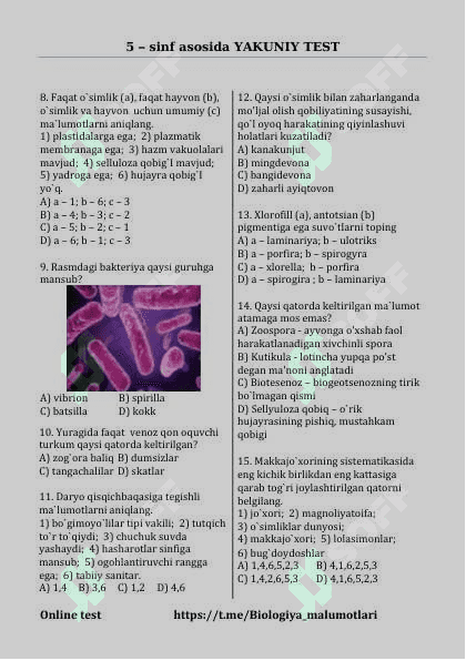 Test 2