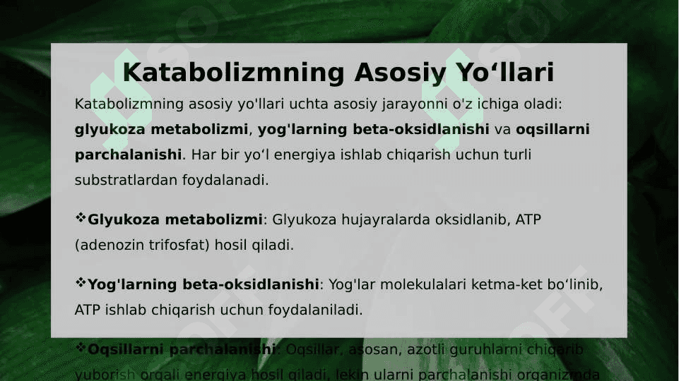 Katabolizmning Umumiy Yo'llari va Gipoenergetik Holatlar 3