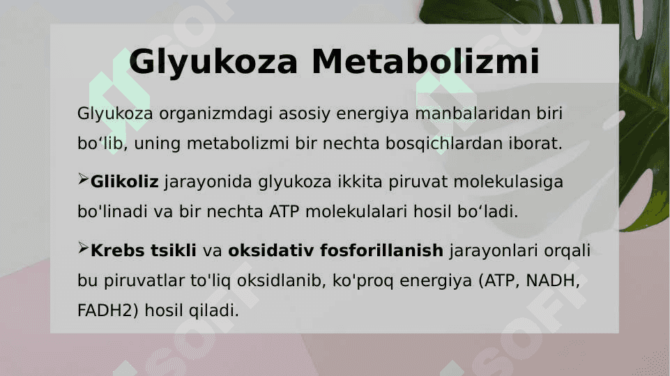 Katabolizmning Umumiy Yo'llari va Gipoenergetik Holatlar 4