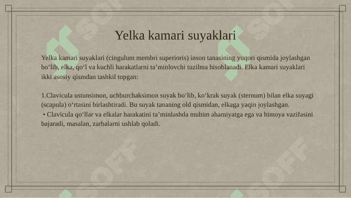 Qo'lning erkin turgan qismidagi suyaklari 3