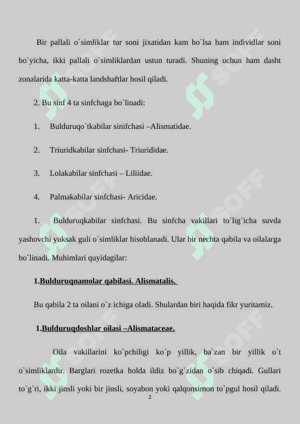 BIR VA IKKI URUG‘PALLALI O‘SIMLIKLAR 2