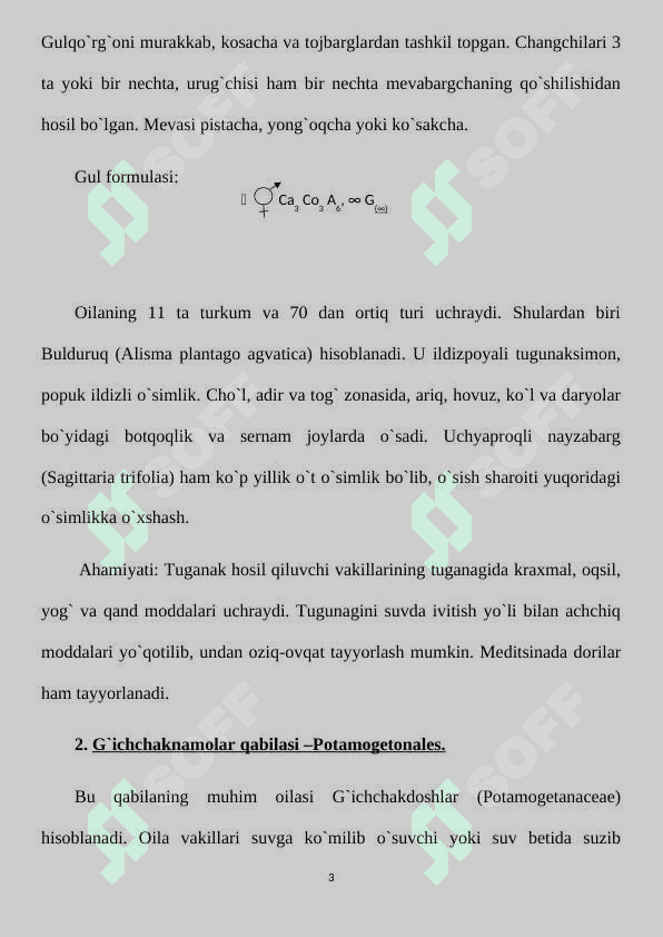 BIR VA IKKI URUG‘PALLALI O‘SIMLIKLAR 3