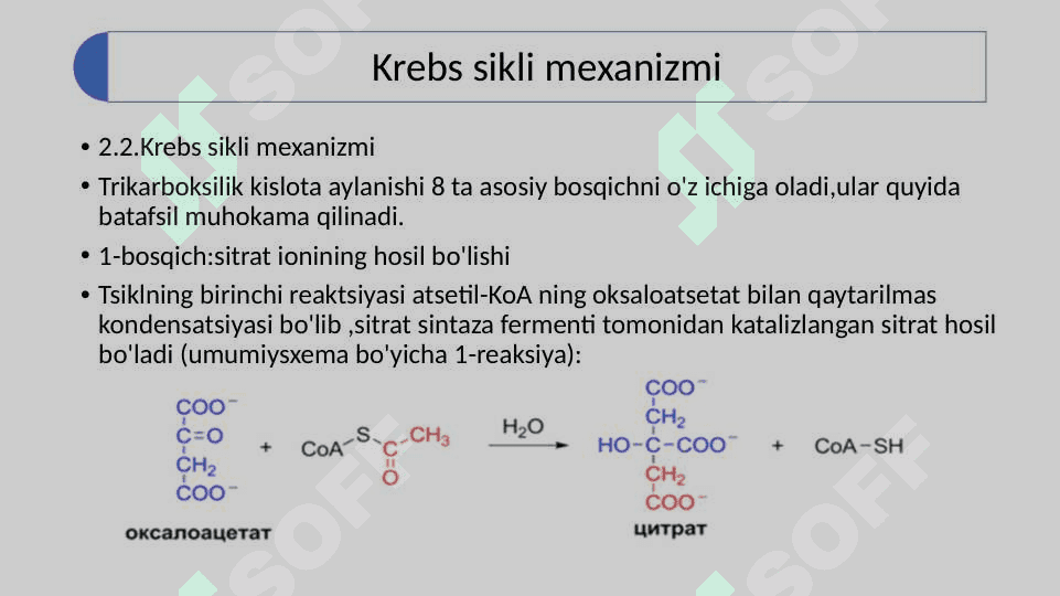Krebs sikli va uning energetikasi 6