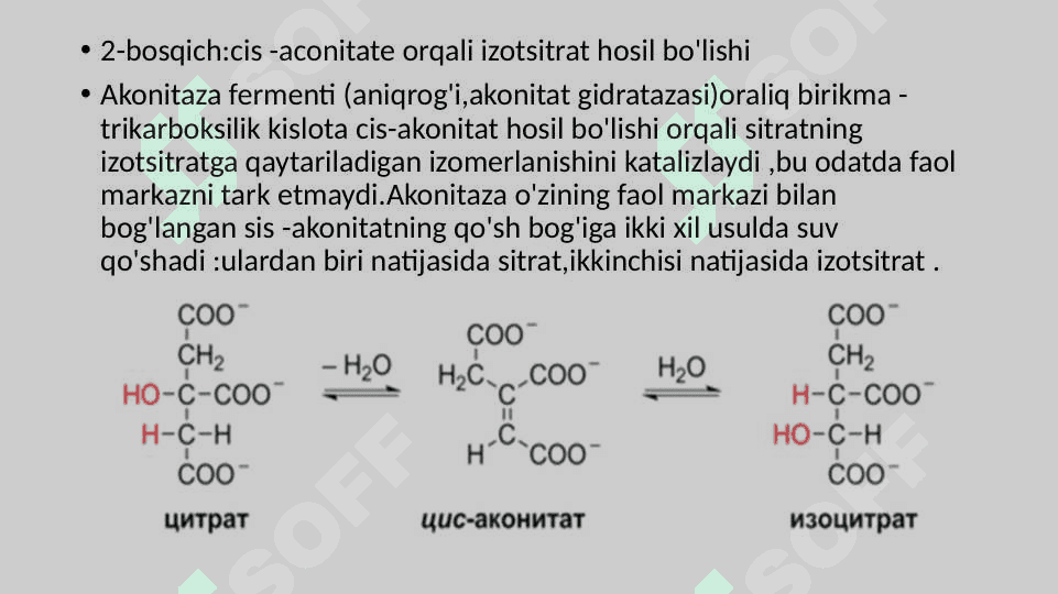 Krebs sikli va uning energetikasi 8