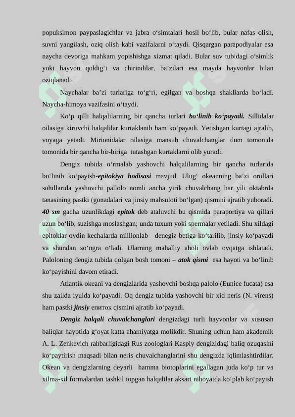 : “Halqali chuvalchanglar (Annelida) Echiura va Sipuncula tiplari  ” 8