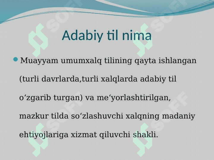 Adabiy til meyorlari 2