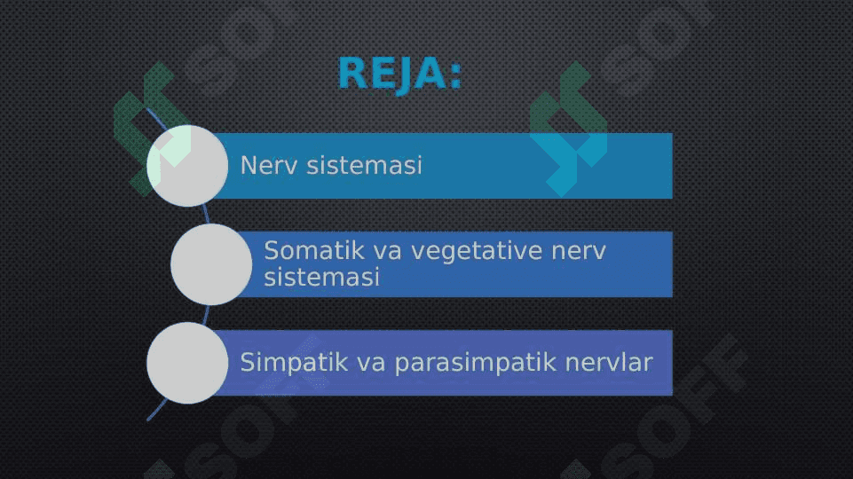 SOMATIK VA VEGETATIV NERV SISTEMASI 2