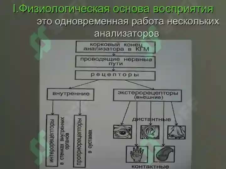 Восприятие 4