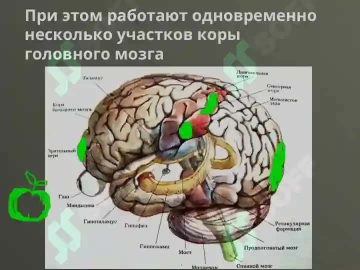 Восприятие 6