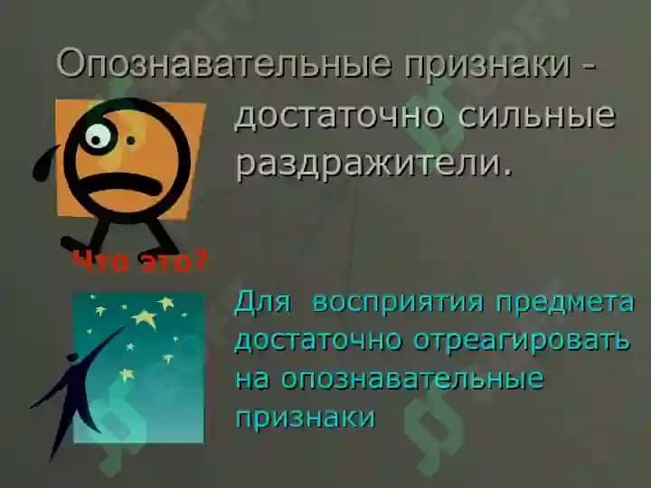 Восприятие 7