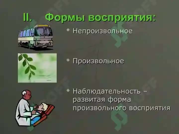 Восприятие 8