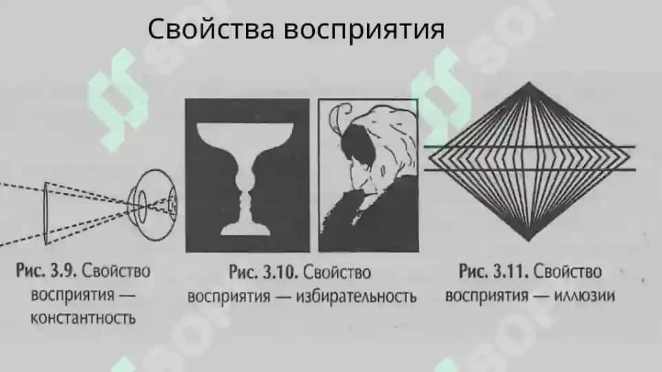 Стадии восприятия 4