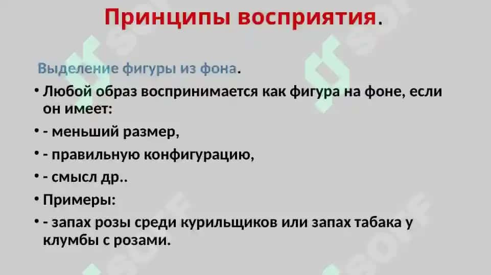 Стадии восприятия 6