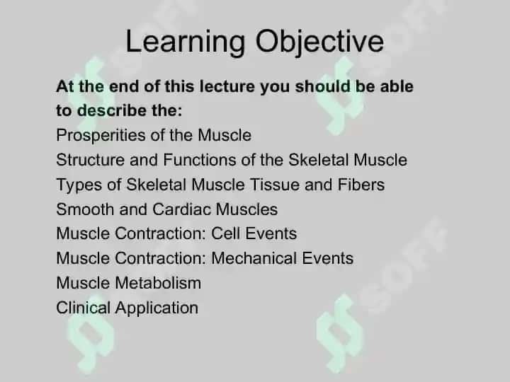 Skeletal Muscle Physiology 2