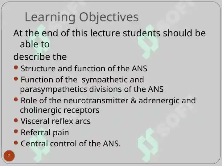 Autonomic Nervous System 2