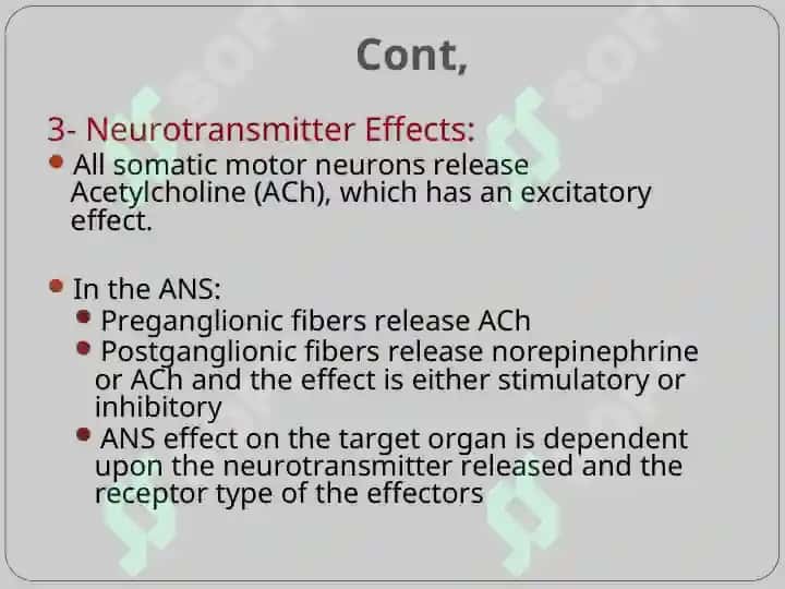 Autonomic Nervous System 7