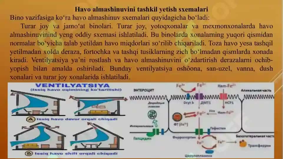 Havo almashinuvini tashkil yetish sxemalari 2