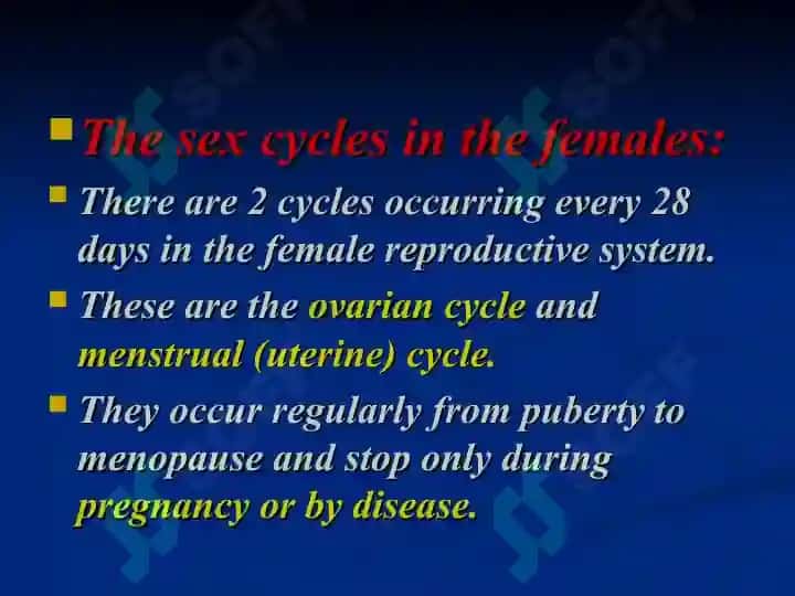 Female reproductive system 6