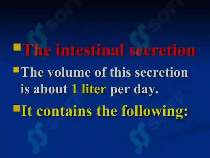 The small intestine 4