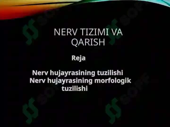 Nerv tizimi va Qarish 2
