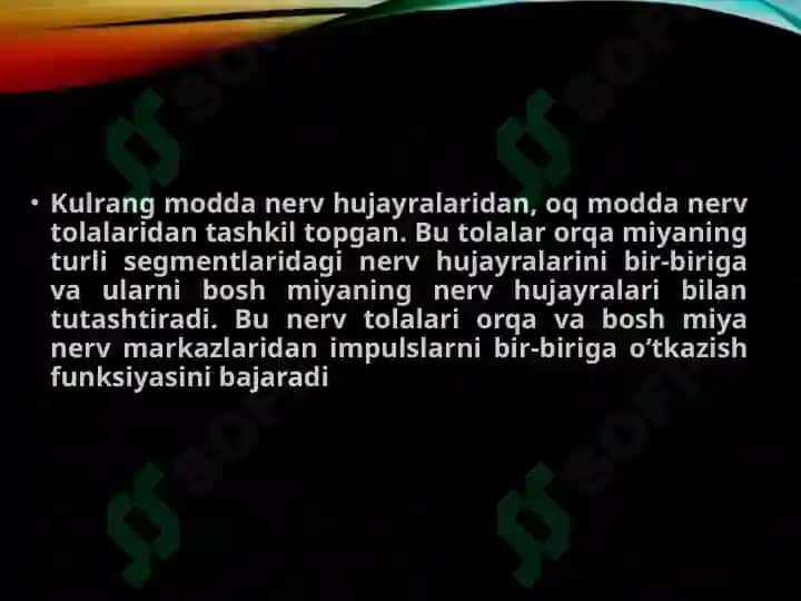 Nerv tizimi va Qarish 8