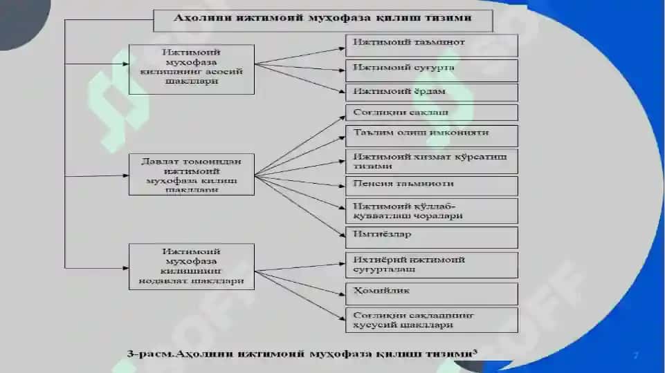 Davlat byudjetining ijtimoiy himoya xarajatlari 7