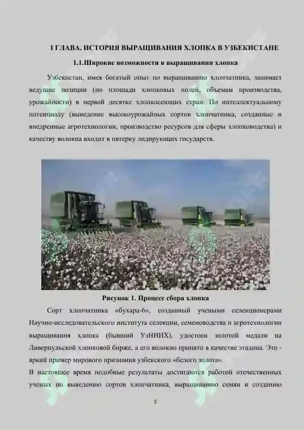 География хлопководства в Узбекистане 5