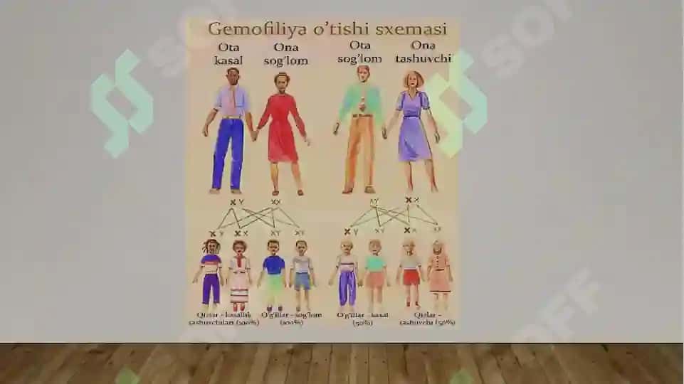 Qonning nasliy (gemofiliya) kasalliklari, multifaktorial kasalliklar 7