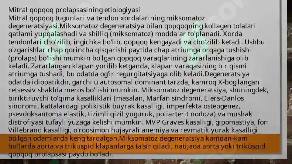 Mitral klapan prolapsi 3