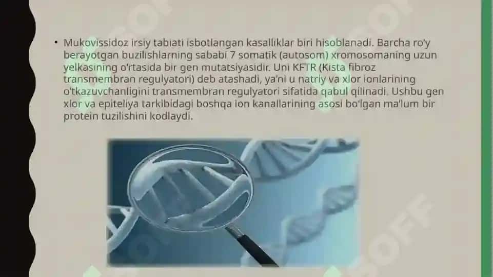 mukovissidoz 4