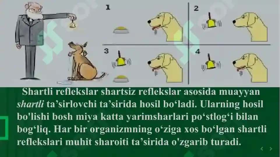 ODAMDA SHARTSIZ REFLEKSLARNI O’RNATISH 7