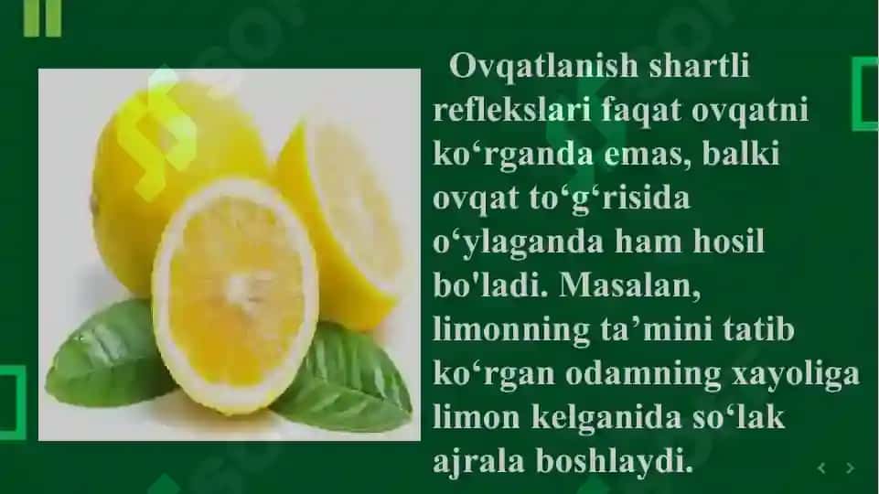 ODAMDA SHARTSIZ REFLEKSLARNI O’RNATISH 8