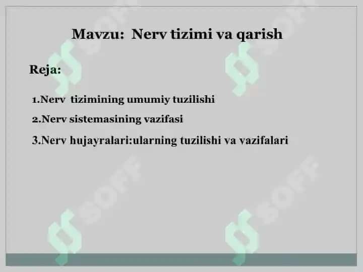 Nerv tizimi va qarish 2