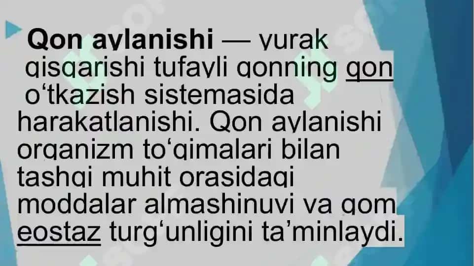 A'zolar qon aylanishining o‘ziga xosligi 2