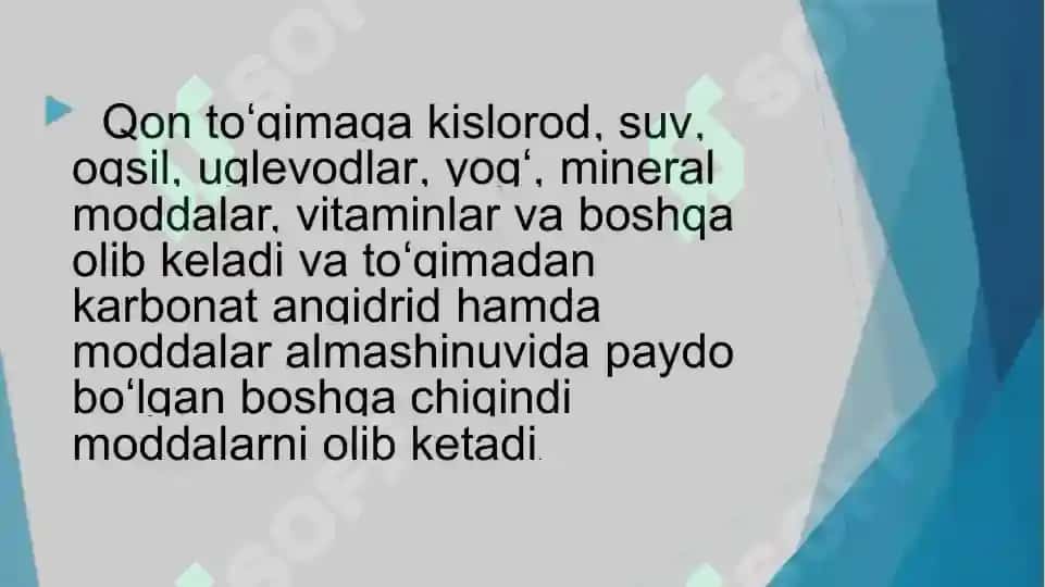 A'zolar qon aylanishining o‘ziga xosligi 3