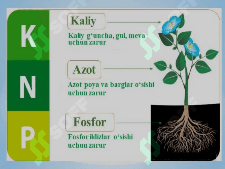 KALIYLI OʻGʻITLAR 7