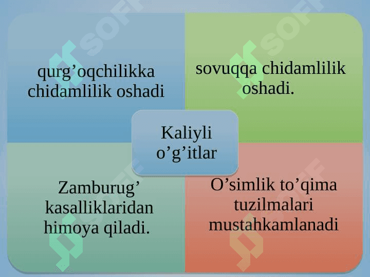 KALIYLI OʻGʻITLAR 8