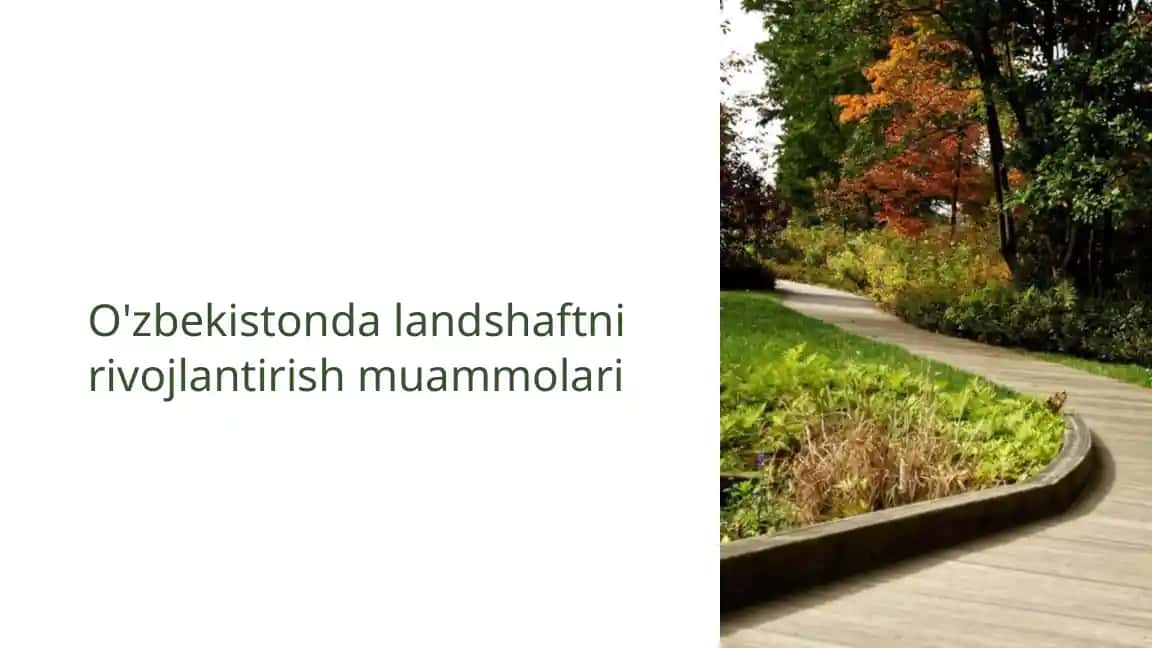 O'zbekistonda landshaftni rivojlantirish muammolari
