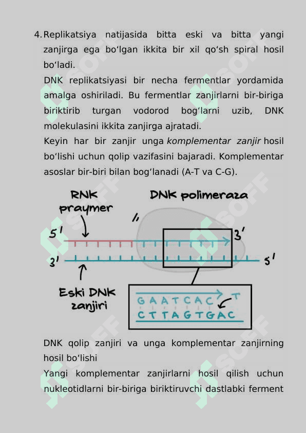 Dnk va Rnk tuzilishi 8