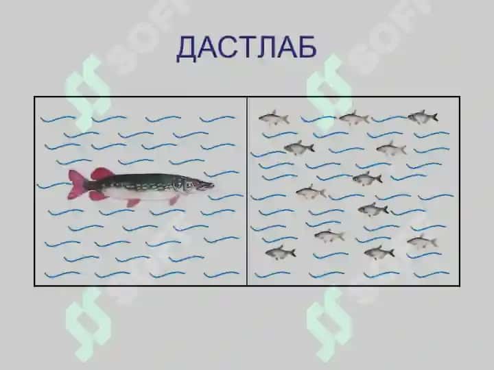 Pedagogika fanining predmeti va tadqiqot metodlari 7