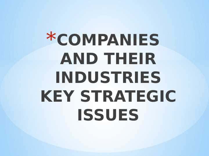 COMPANIES AND THEIR INDUSTRIES KEY STRATEGIC ISSUES