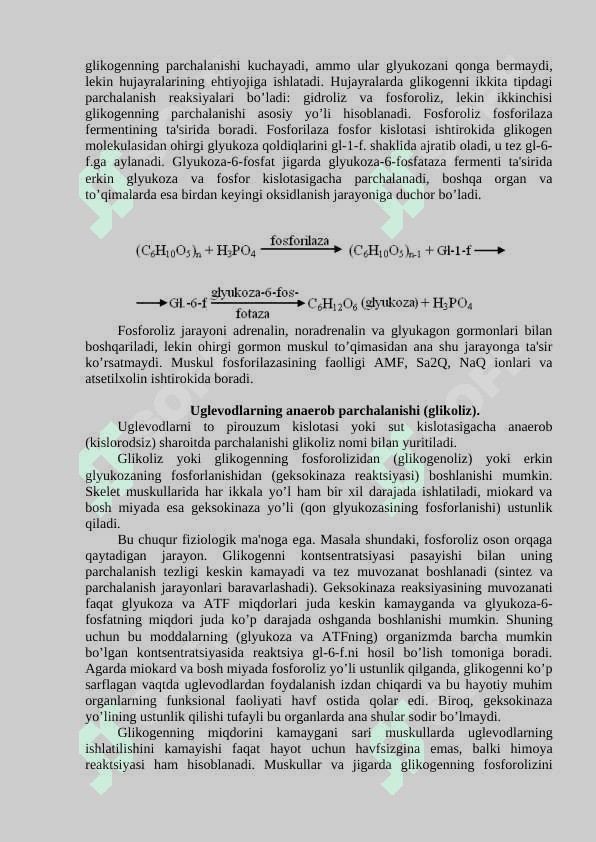 Uglevodlarning almashinuvi. 4