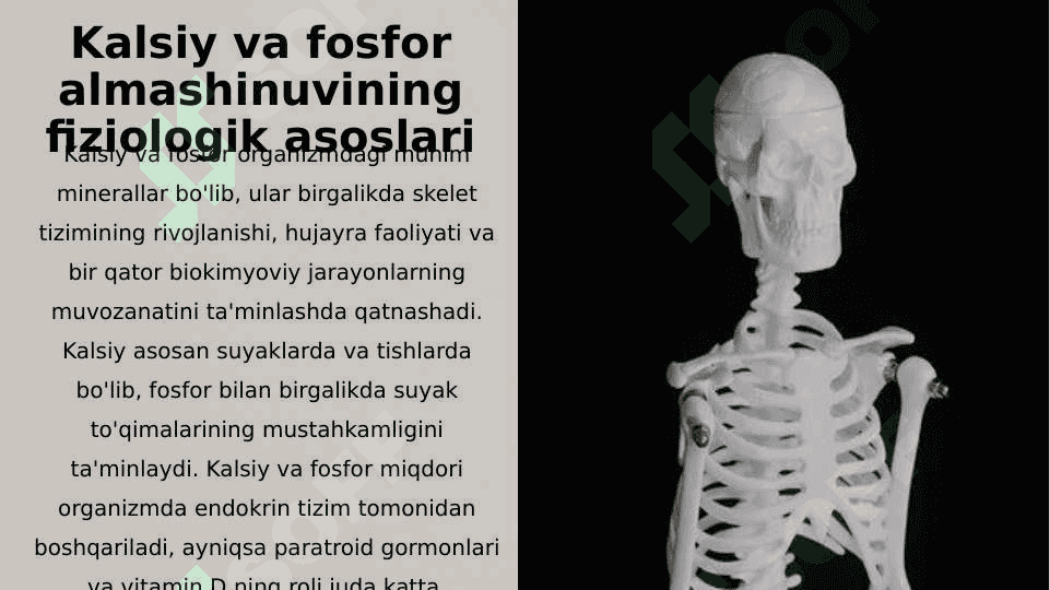 Kalsiy va fosfor almashinuvining patologiyalari 2