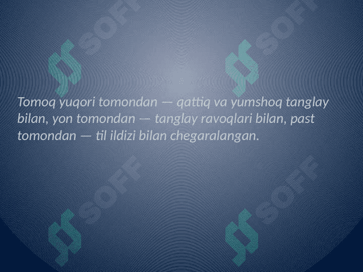 Og'iz bo'shlig'ining gistalogik tuzilishi 4