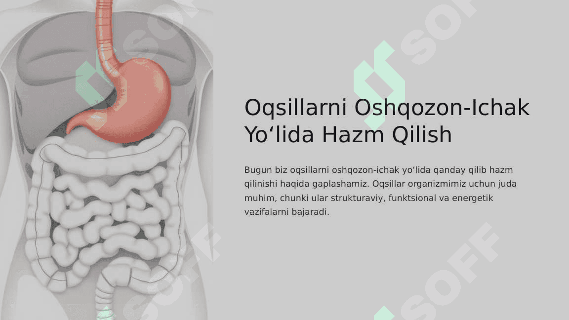 Oqsillarni oshqozon-ichak yo‘lida ferment ta’sirida parchalanishi. 2