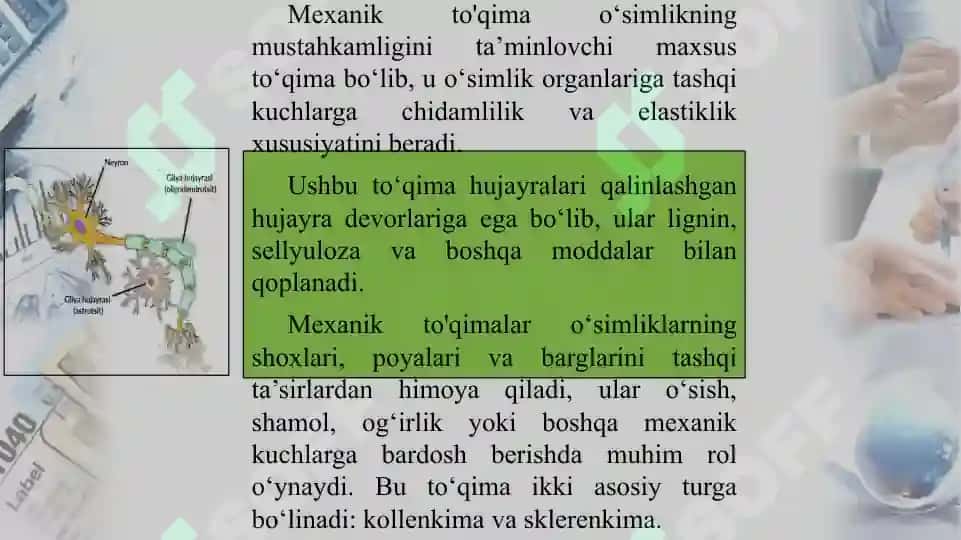 Mexanik to‘qima 3