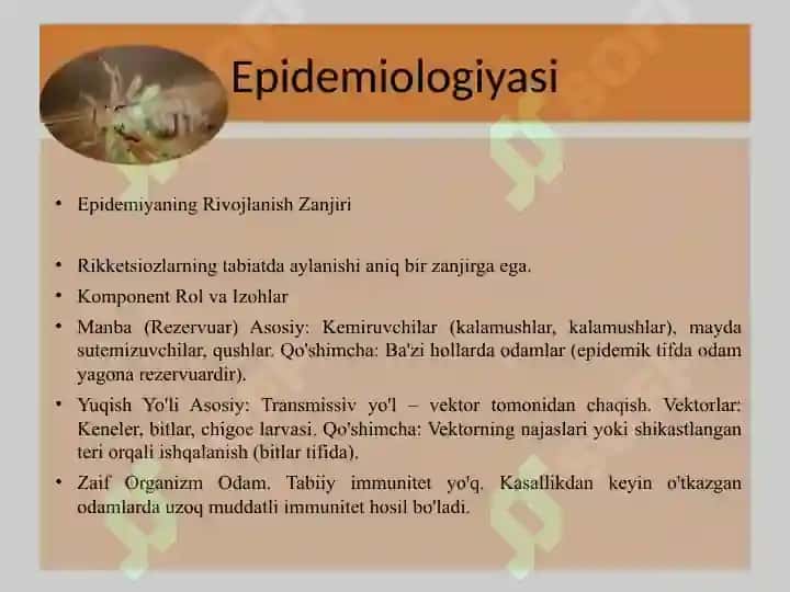 Rikketsiozlar 7