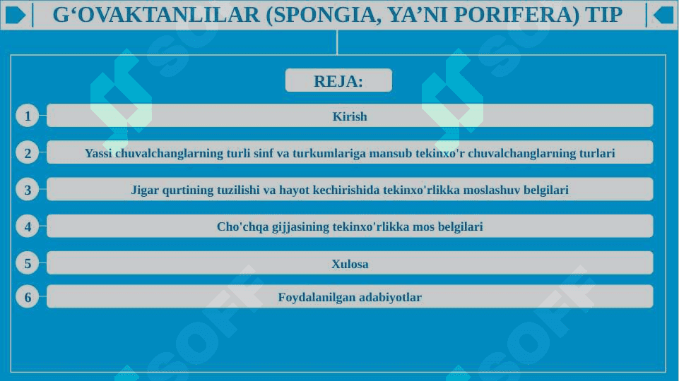 Tekinxo'r yassi chuvalchanglarning bioekologik xususiyatlari 2