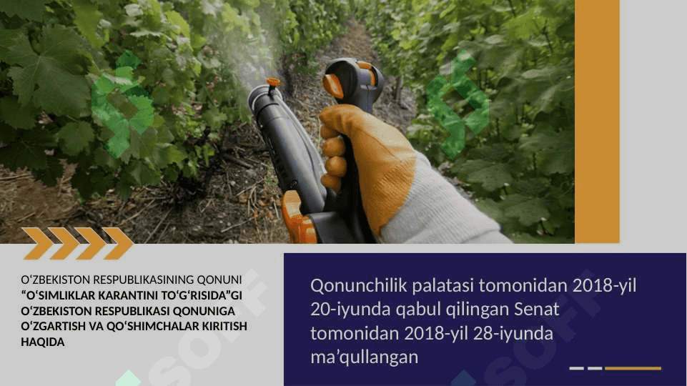 Respublika  karantin xizmatini  tuzilishi 3