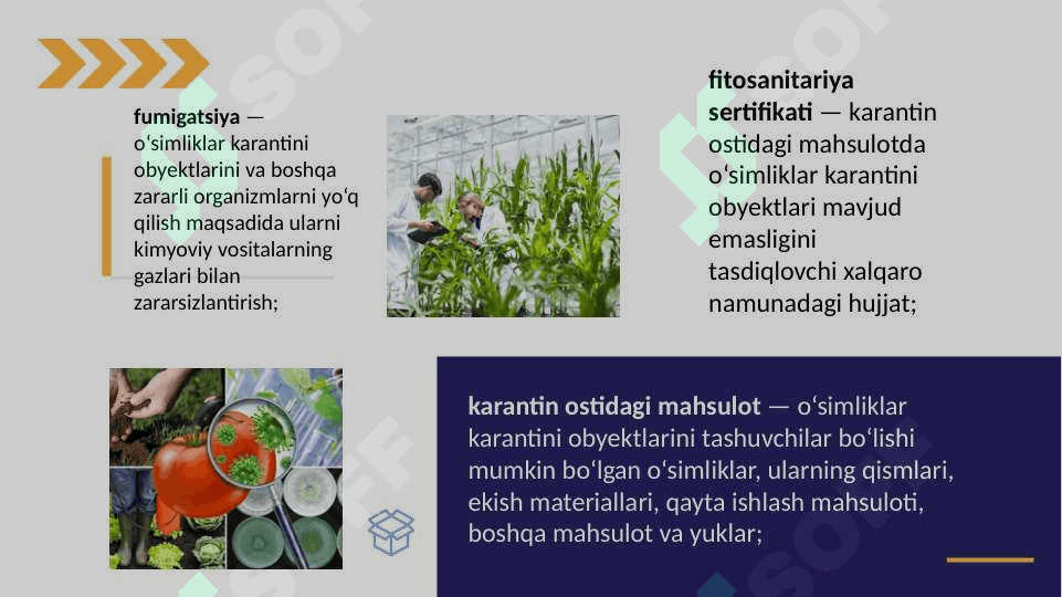 Respublika  karantin xizmatini  tuzilishi 6